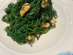 -蒙古大营(朝阳公园店)