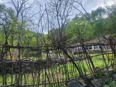 -大岭沟猕猴桃谷风景区