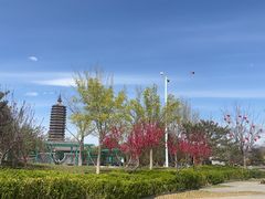 -西海子公园