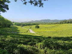 -宜兴龙背山森林公园
