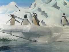 -上海海洋水族馆