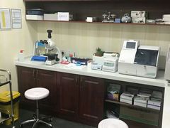 -宠爱国际动物医院· 猫科· 外科·中兽医(长白店)
