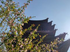 -杭州半山国家森林公园