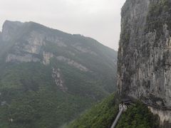 -鹿院坪生态旅游景区