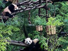 -盖碗儿梨园·变脸吐火·川剧(天府广场店)