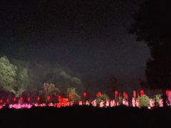 -常德桃花源景区