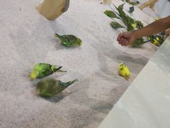 -台州海洋世界