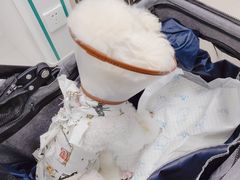 -福州肆爪动物医院