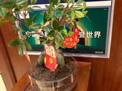 -老妈菜馆(建设街店)