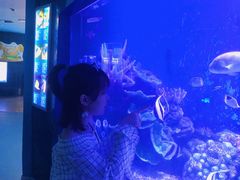 -厦门海底世界