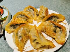 香煎菜肉饺-宝燕壹号(徐汇店)