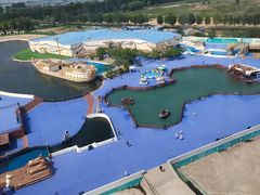 -秦皇岛乐岛海洋王国