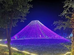 -光明农场大观园