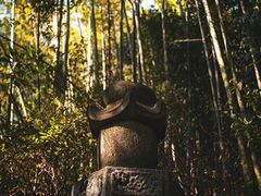 -长沙黑麋峰国家森林公园