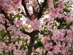 -苏州河梦清园环保主题公园