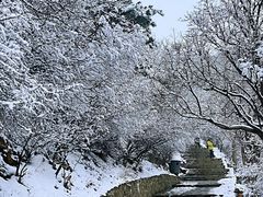 -香山公园
