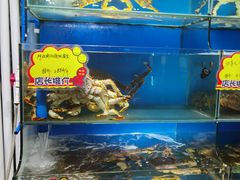 -蚝专家(北滘店)