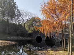 -长广溪湿地公园