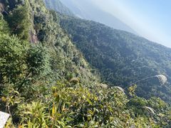 -玉苍山国家森林公园