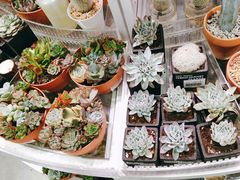 -KKV(深圳kk one 店)