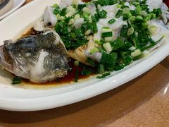-沙田鸽王(解放路店)
