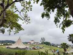 -空港花田景区