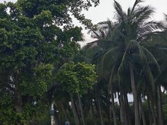 -万绿园