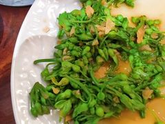夜兰花-Ngoc Chau Garden