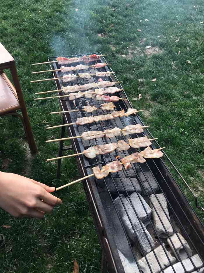 户外烧烤俱乐部(辰山植物园店)-"环境还不错,在一片大草地上,有好几个