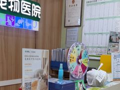 -瑞鹏宠物医院·夜间急症·心超·猫科(祖庙分店)