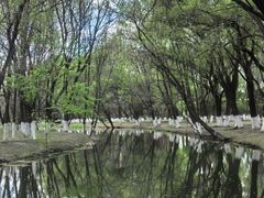 -长白岛森林公园