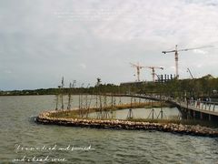 -南汇新城城市公园