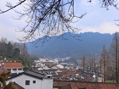 -九华山风景区月身宝殿