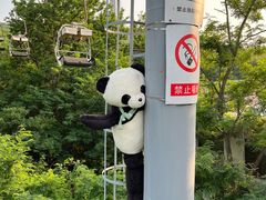 -富斯特索道
