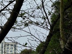 -白塘生态植物园