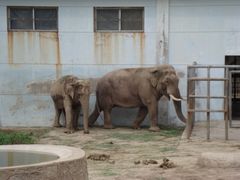 -西安秦岭野生动物园