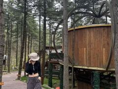 -洛阳白云山景区