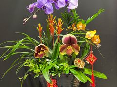 -双季花艺园艺市场(浦东店)