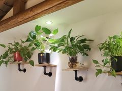 -紫腾大院·南京菜(江宁店)