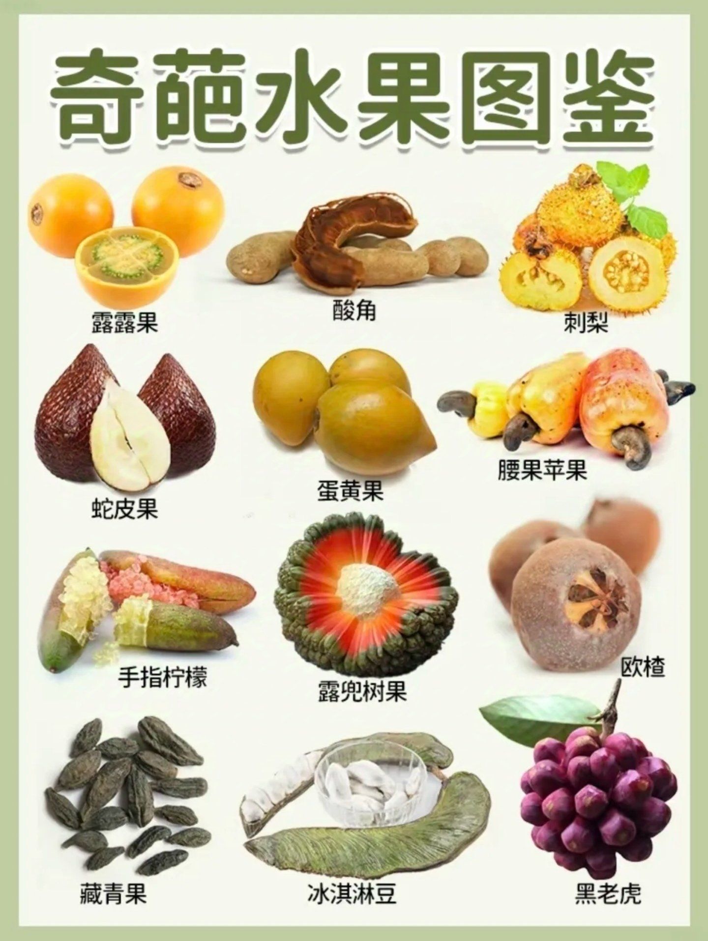 奇葩水果图鉴赏析