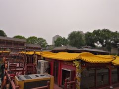 -皇家御河游(紫御湾码头)