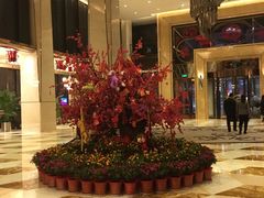 -西安赛瑞喜来登大酒店