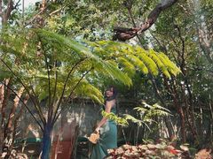 -Chom Cafe and Restaurant