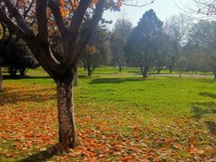 -大明宫国家遗址公园·御道广场