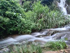 -梧桐山风景名胜区