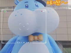 -盒马X会员店(王府井奥莱UP TOWN店)
