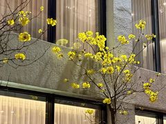 -广州白天鹅宾馆