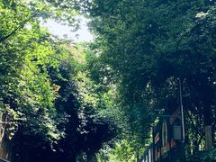 -云南师范大学(一二一西南联大校区)