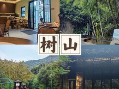 -树山生态村