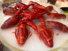 -红盔甲·小龙虾(天钥桥店)